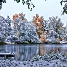 trees, viewes, River, frosty, winter