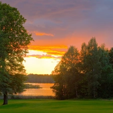 west, trees, grass, viewes, Field, sun, clouds, forest