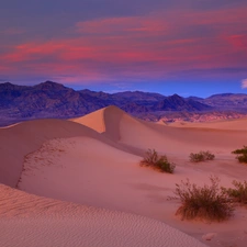 Valley, California, national, Death, Park