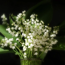 lilies, Vase