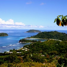 VEGETATION, sea, Islets