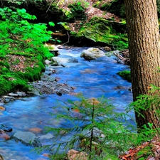 mountainous, Stones, VEGETATION, stream