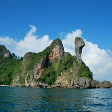 VEGETATION, sea, rocks