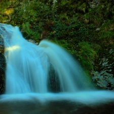 waterfall, VEGETATION