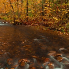 viewes, autumn, Stones, trees, River