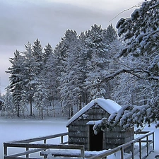 viewes, hide-away, Snowy, trees, winter