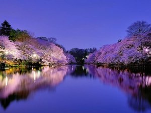 viewes, buildings, flourishing, trees, River