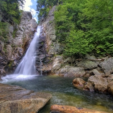 viewes, Bush, Stones, trees, waterfall