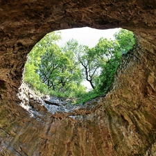 cave, trees, viewes, hole