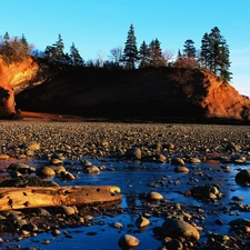 rocks, coast, viewes, Conifers, trees, Stones