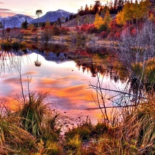 viewes, grass, lake, trees, Mountains