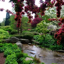 viewes, green, water, trees, Garden