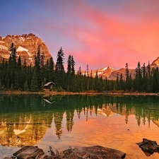 viewes, Home, lake, trees, Mountains