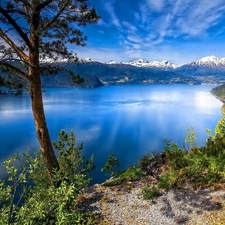 lake, trees, viewes, Mountains