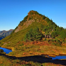 Mountains, trees, viewes, Valley