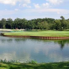 viewes, Park, Bridges, trees, lake