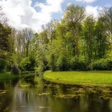 River, trees, viewes, Park