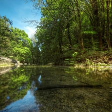 River, trees, viewes, Stones