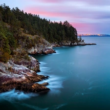 sea, trees, viewes, rocks