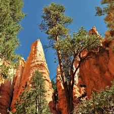 viewes, rocks, trees