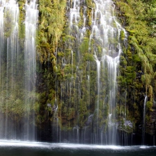 viewes, waterfall, trees