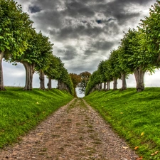 Way, trees, viewes, clouds