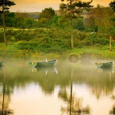 boats, lake, viewes, west, trees, Fog