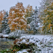 winter, trees, viewes, lake