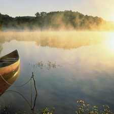 lake, sun, Boat, forest, west, water, Fog