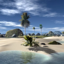 water, Beaches, Palm