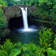 forest, waterfall