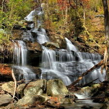 forest, waterfall