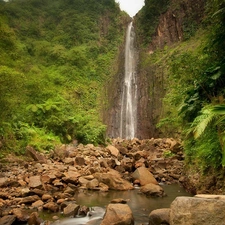 waterfall, Plants, rocks, Stones, Mountains