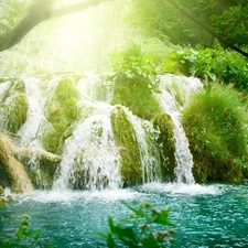 waterfall, forest, River