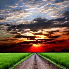 Way, field, sun, rural, west