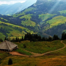 Mountains, Sheepfarm, Way, pastures