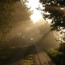 Way, trees, viewes