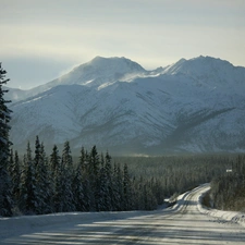 Way, winter, woods, Fog, Mountains