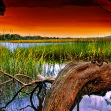 sun, lake, trees, viewes, Lod on the beach, west