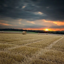 west, sun, Bele, hay, field
