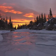 west, sun, floe, forest, River