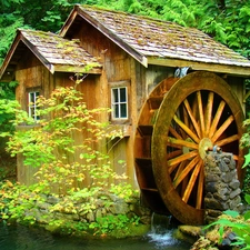 Windmill, forest, water