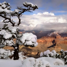 canyon, snow, winter, trees