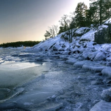 Coast, woods, winter, rocks