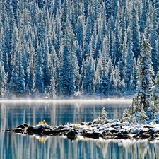 winter, lake, forest