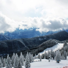 Mountains, clouds, winter, woods