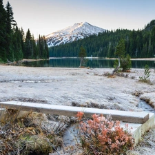 Mountains, stream, winter, woods