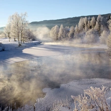 trees, Fog, winter, viewes