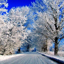 Way, viewes, winter, trees