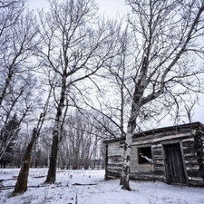 Wooden, Cottage, trees, viewes, winter